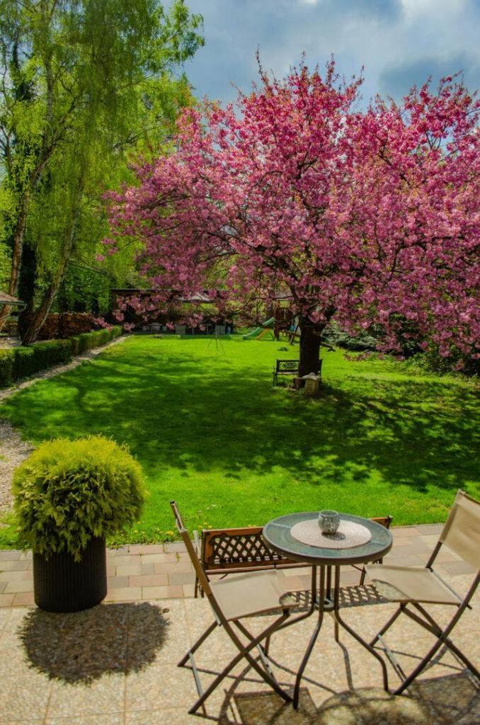 Shubu Zen Vendeghaz Hotell Szilvásvárad Exteriör bild