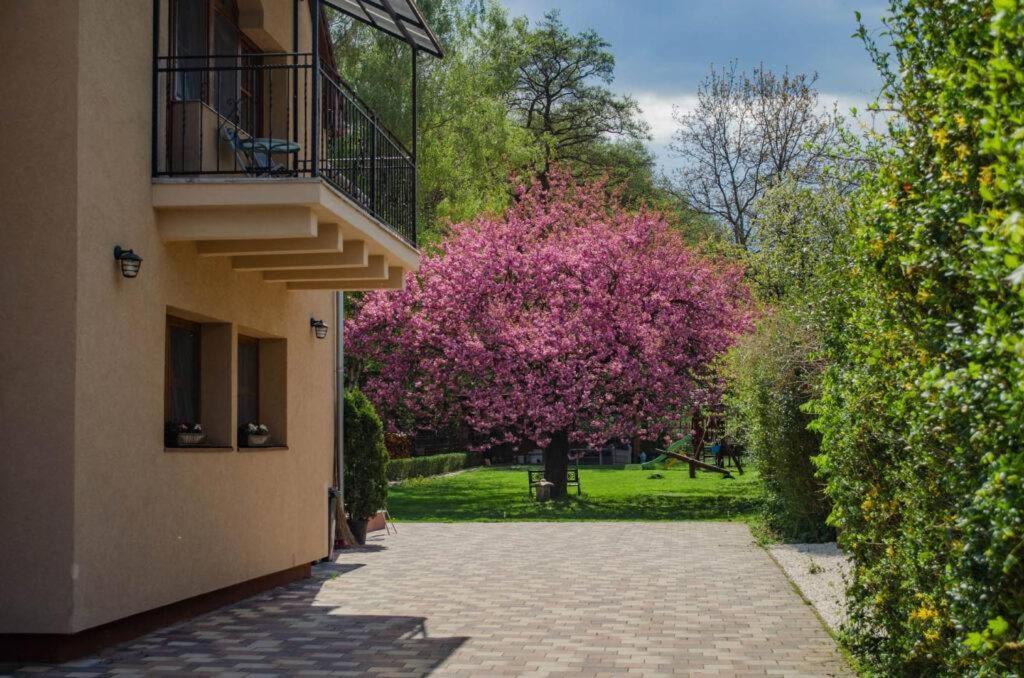 Shubu Zen Vendeghaz Hotell Szilvásvárad Exteriör bild