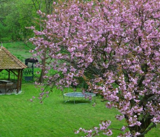 Shubu Zen Vendeghaz Hotell Szilvásvárad Exteriör bild